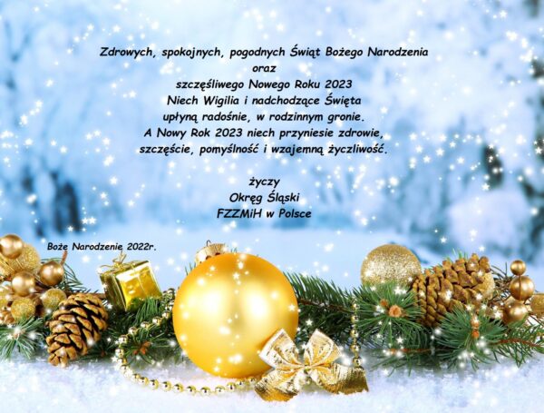 Życzenia Okręgu Śląskiego – Boże Narodzenie 2022